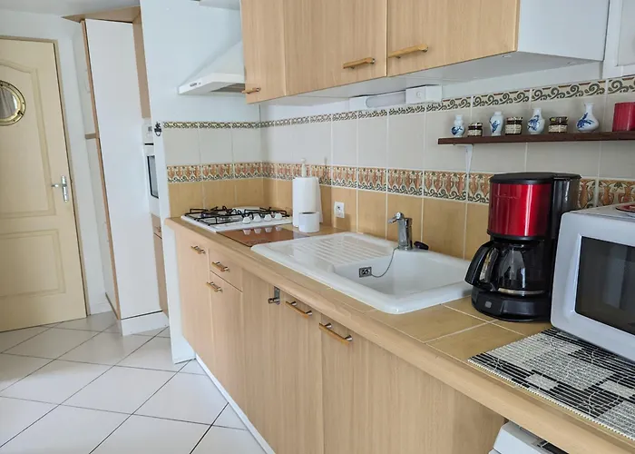 T3 Spacieuse A - Jardin, Parking, A 900m De La Plage, Chien Admis - Fr-1-797-50